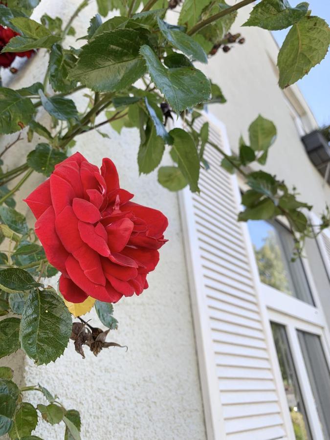 Insel Hus Villa Fehmarn Kültér fotó